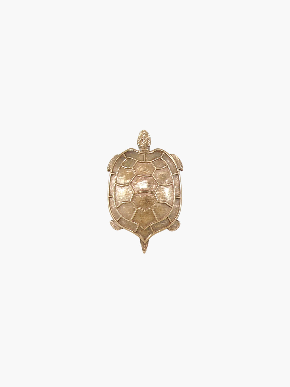 Skildpadde broche